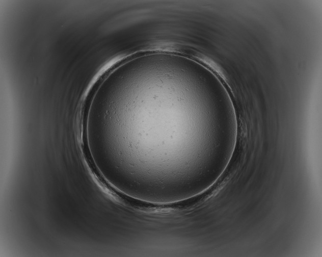 X0000084531131200703021414
