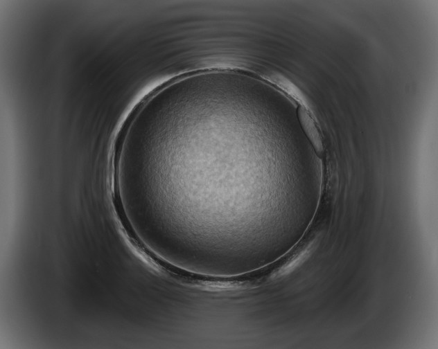 X0000084531132200703021414