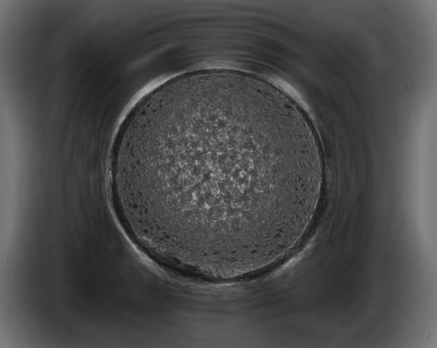 X0000084531133200703021414