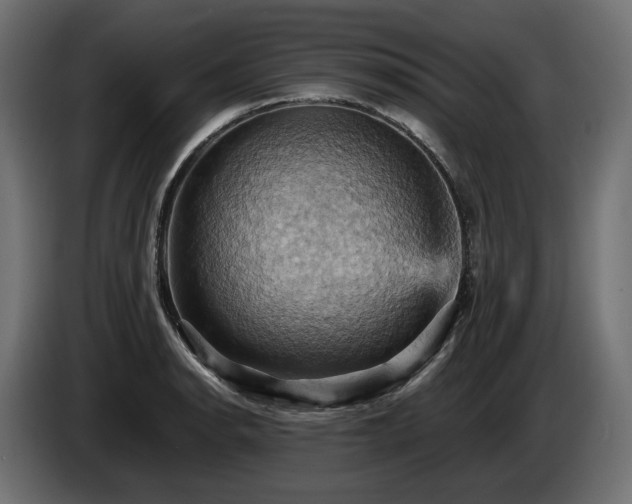 X0000084531134200703021414