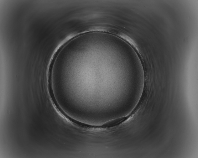 X0000084531135200703021414