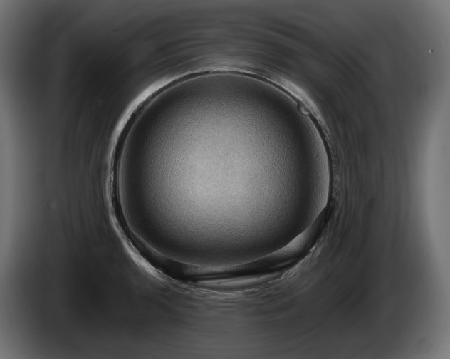 X0000084531136200703021414