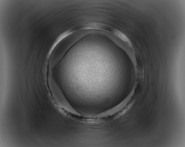 X0000084531138200703021414