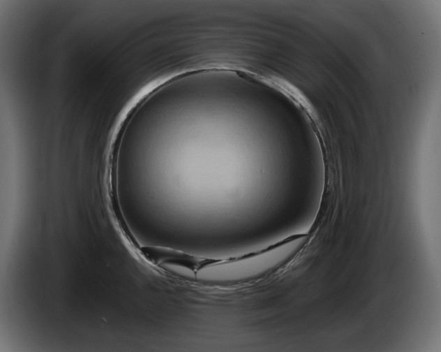 X0000084531144200703021414