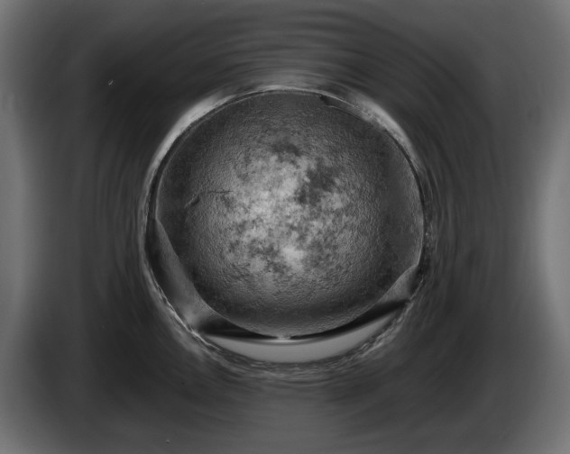 X0000084531146200703021414
