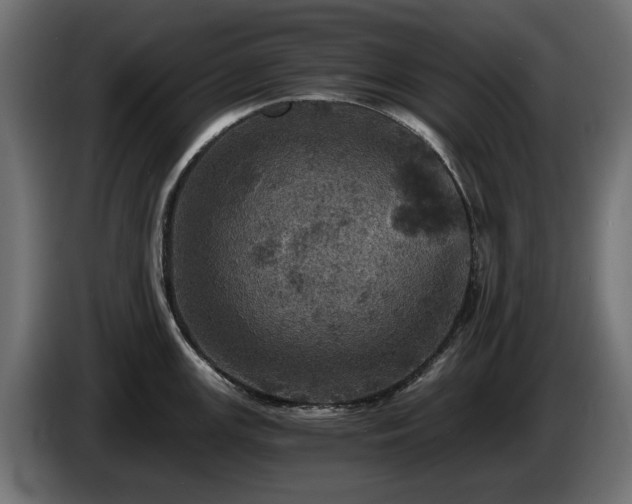 X0000084531147200703021414