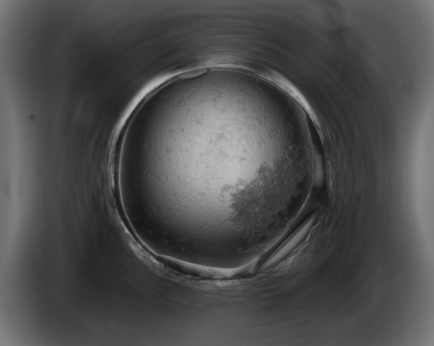 X0000084531148200703021414
