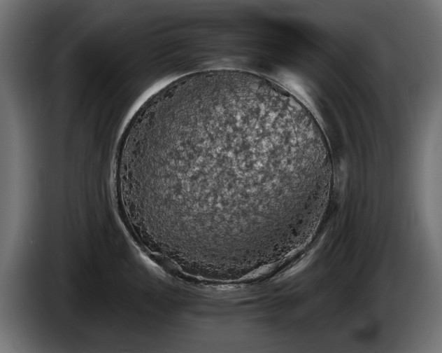 X0000084531149200703021414