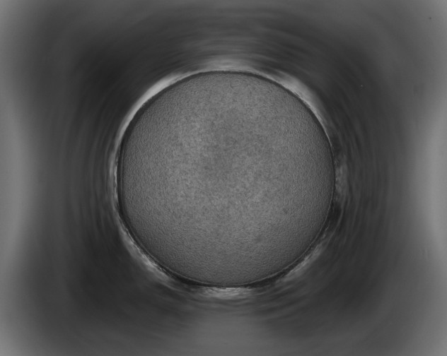 X0000084531150200703021414