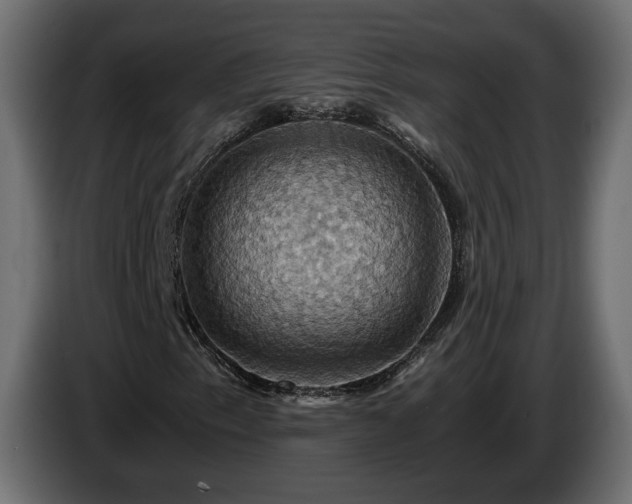 X0000084531153200703021414
