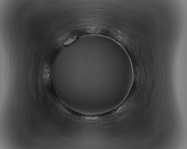 X0000084531154200703021414