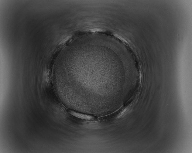 X0000084531156200703021414