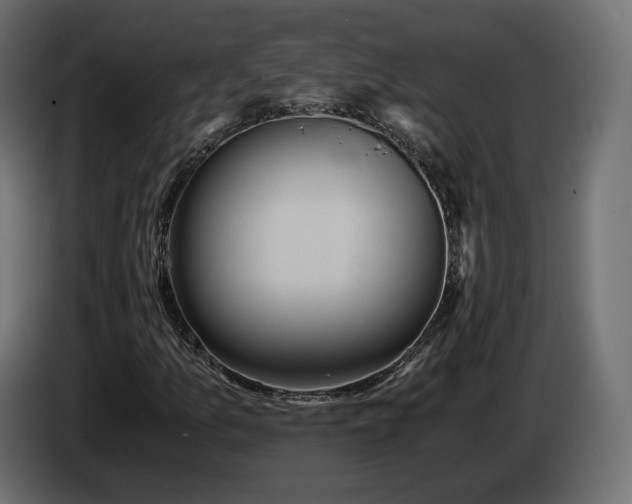 X0000084531157200703021414