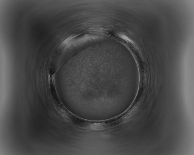 X0000084531161200703021414