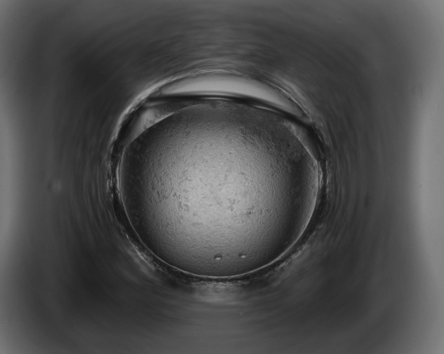X0000084531164200703021414