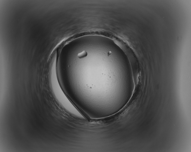 X0000084531165200703021413