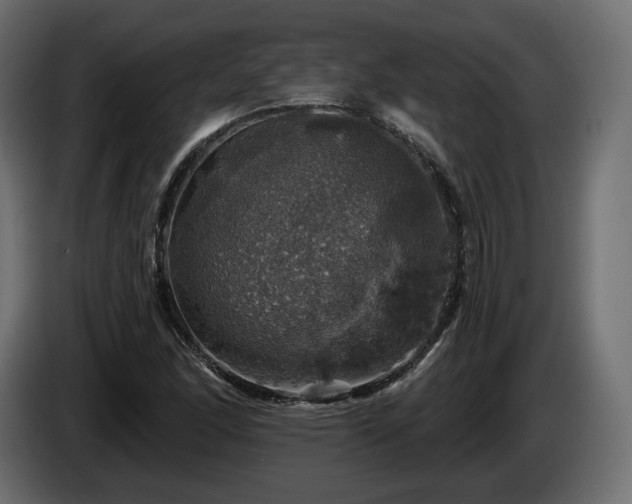 X0000084531166200703021413