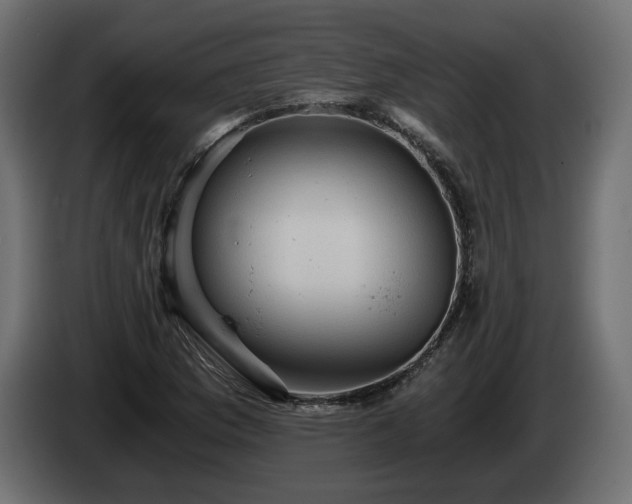 X0000084531169200703021413