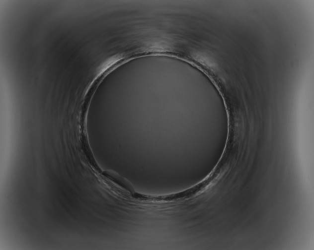 X0000084531170200703021413