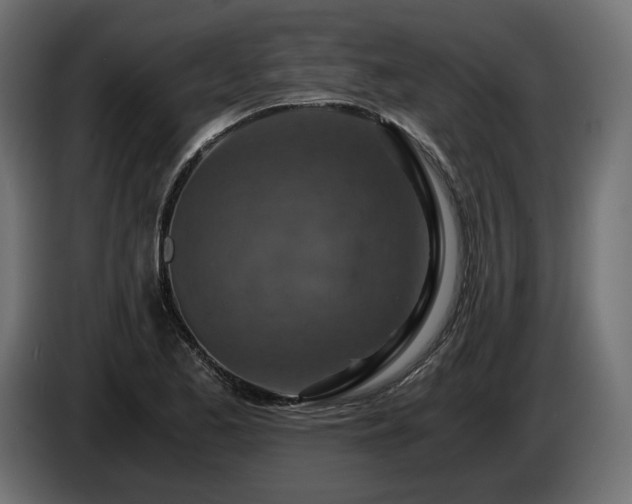 X0000084531173200703021413