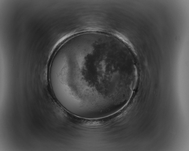 X0000084531174200703021413