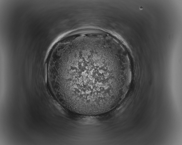 X0000084531175200703021413