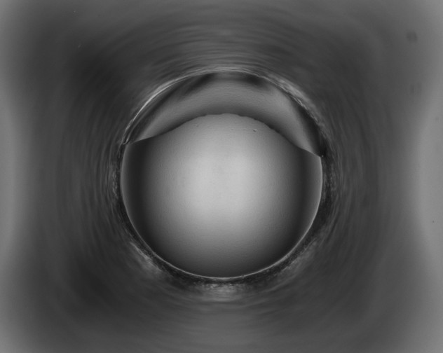 X0000084531177200703021413