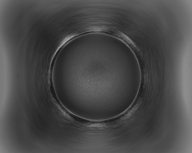 X0000084531178200703021413