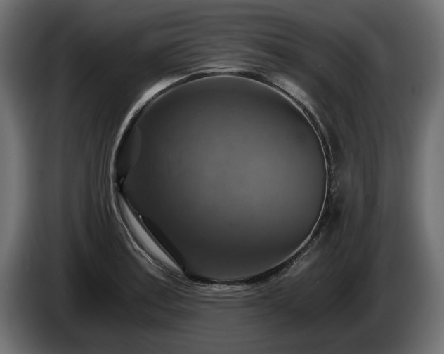 X0000084531179200703021413