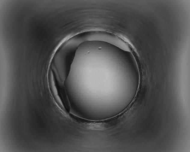 X0000084531181200703021413