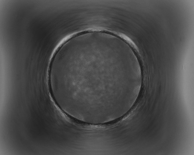 X0000084531183200703021413