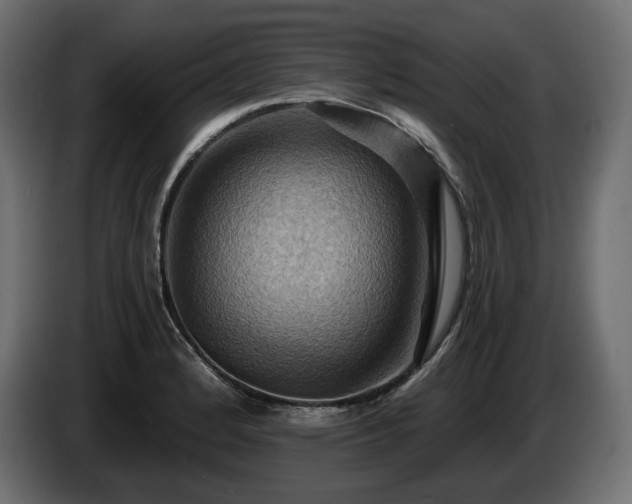 X0000084531184200703021413