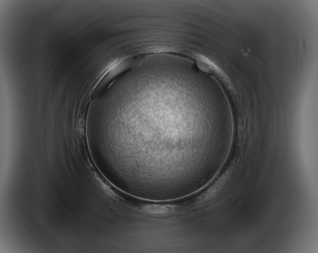 X0000084531185200703021413