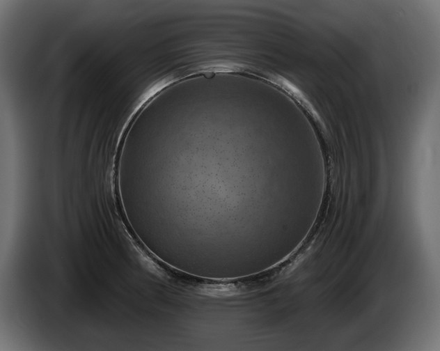 X0000084531186200703021413