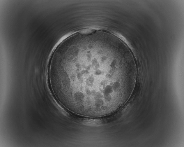 X0000084531187200703021413