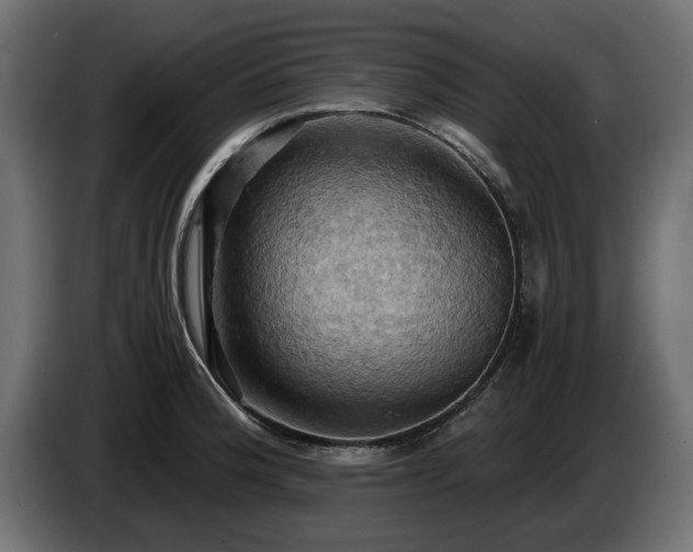 X0000084531188200703021413