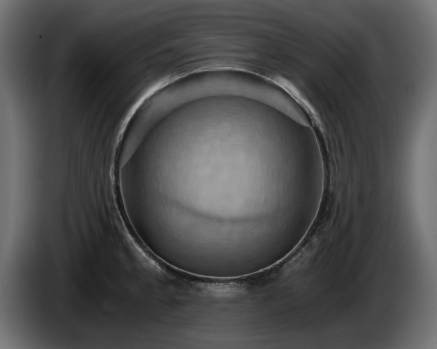 X0000084531189200703021413