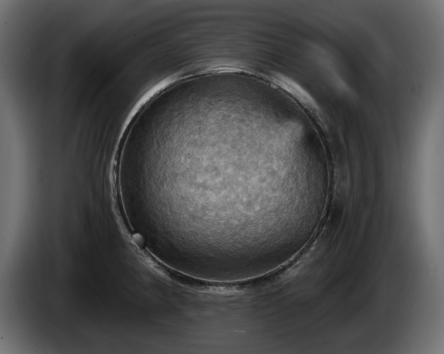 X0000084531190200703021413