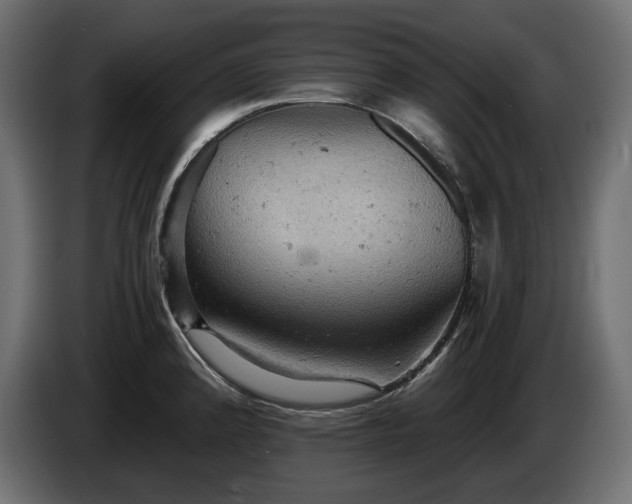 X0000084531192200703021413