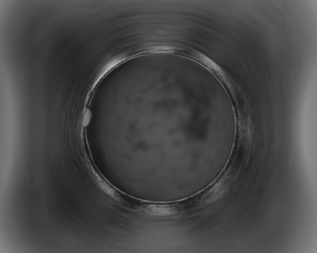 X0000084531194200703021413