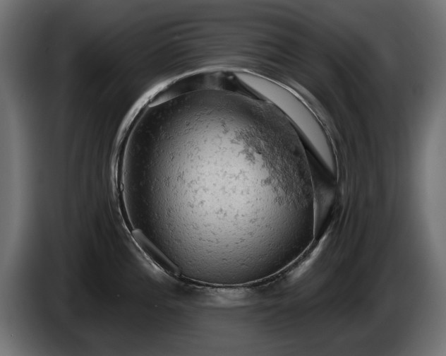 X0000084531196200703021413