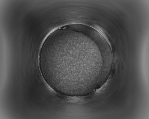 X0000084531197200703021413