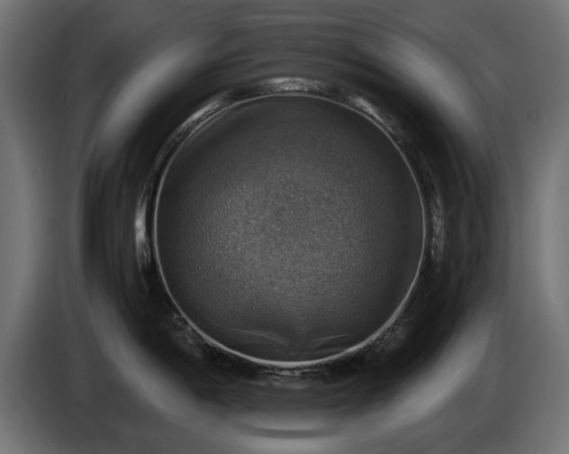 X0000084531198200703021413