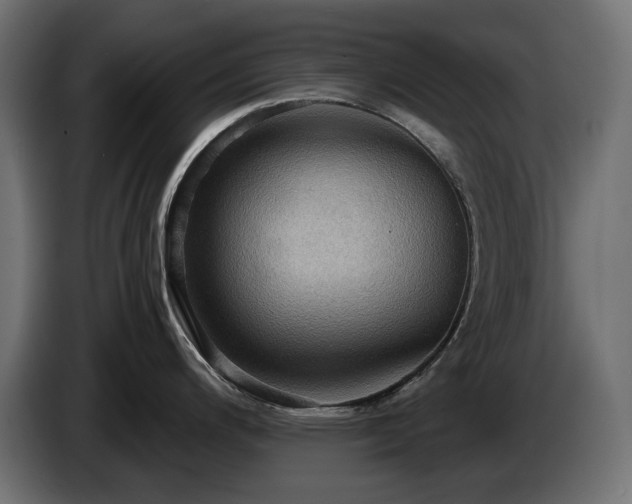 X0000084531200200703021413