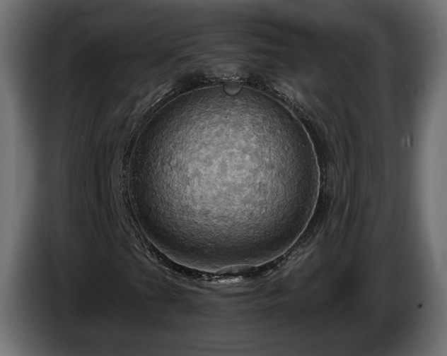 X0000084531201200703021412