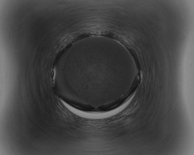 X0000084531202200703021412