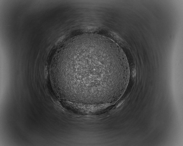 X0000084531204200703021412