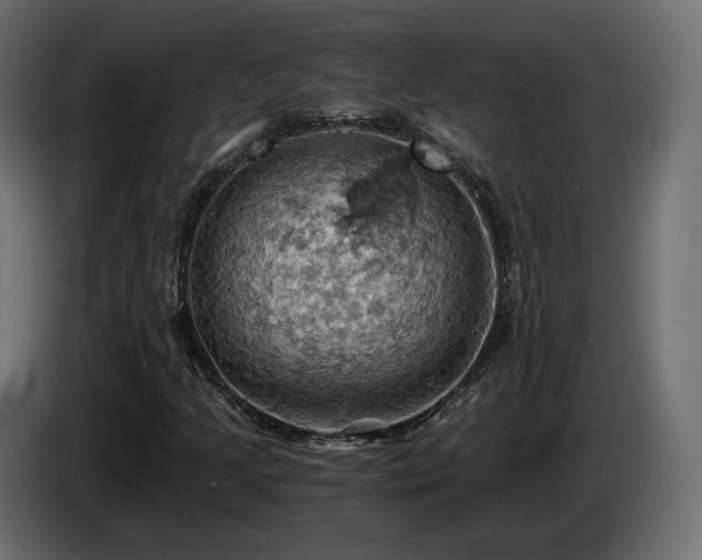 X0000084531205200703021412