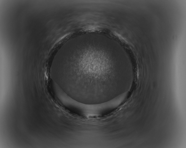 X0000084531206200703021412