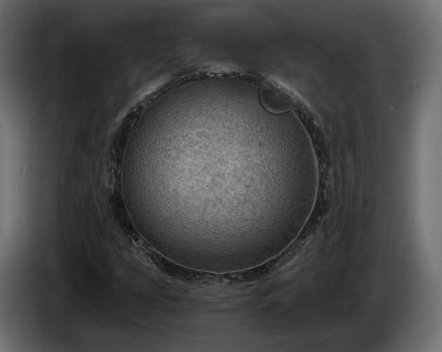 X0000084531207200703021412